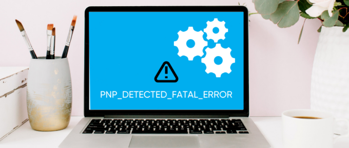 How-to-Fix-PNP-Detected-Fatal-Error-Causes-Fixes-and-Prevention
