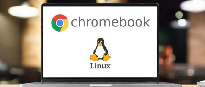 How to Install Linux on Chromebook Step-by-Step Guide