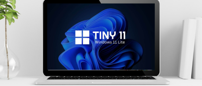 Install-Windows-11-Lite-Version-on-Your-PC